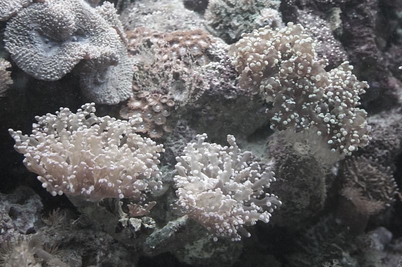 Killikus® Fotographie Killikus® Fotographie